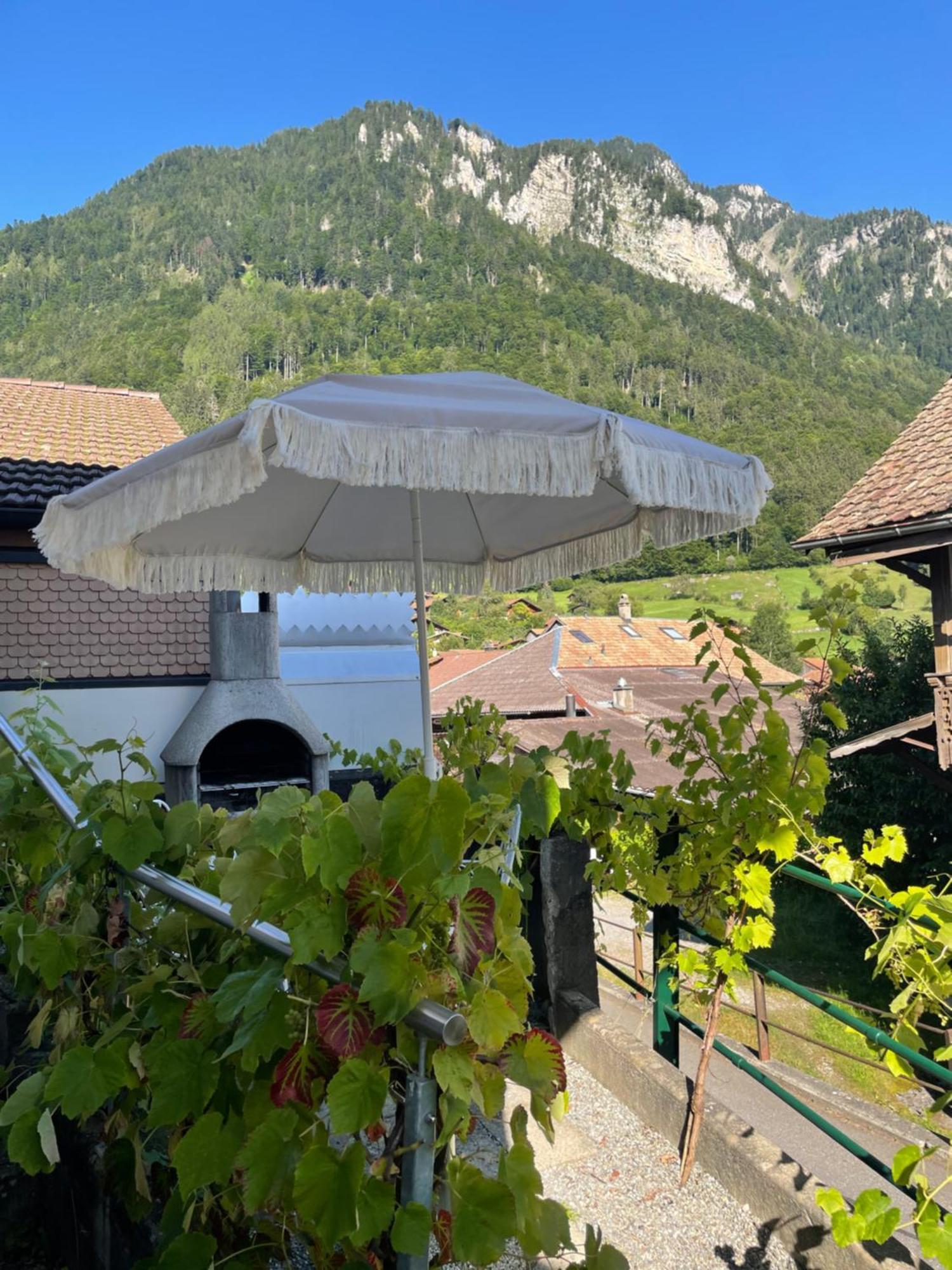 Studio In Alps By Apartments Capricorn グシュタイクヴィラー エクステリア 写真
