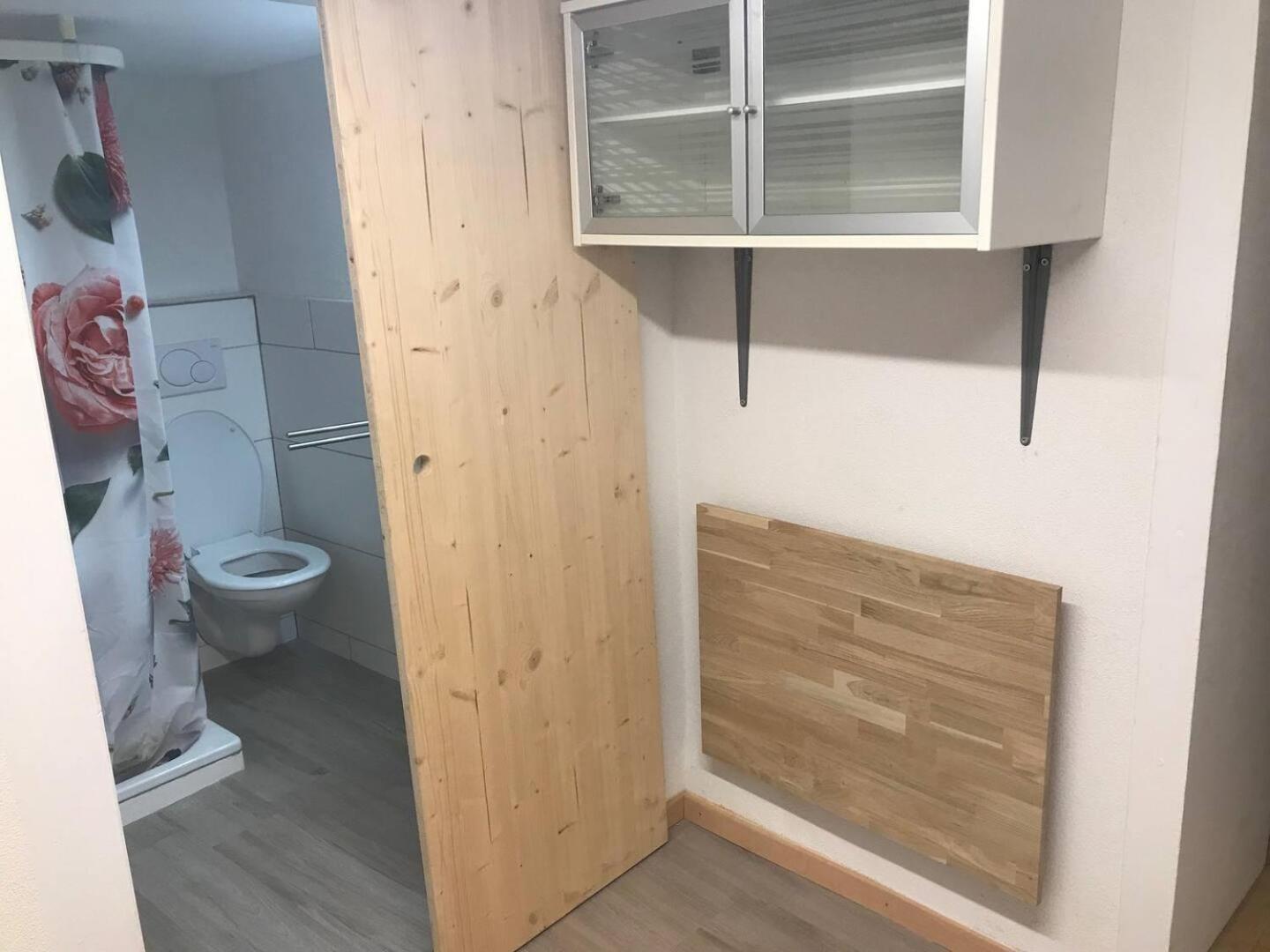 Studio In Alps By Apartments Capricorn グシュタイクヴィラー エクステリア 写真
