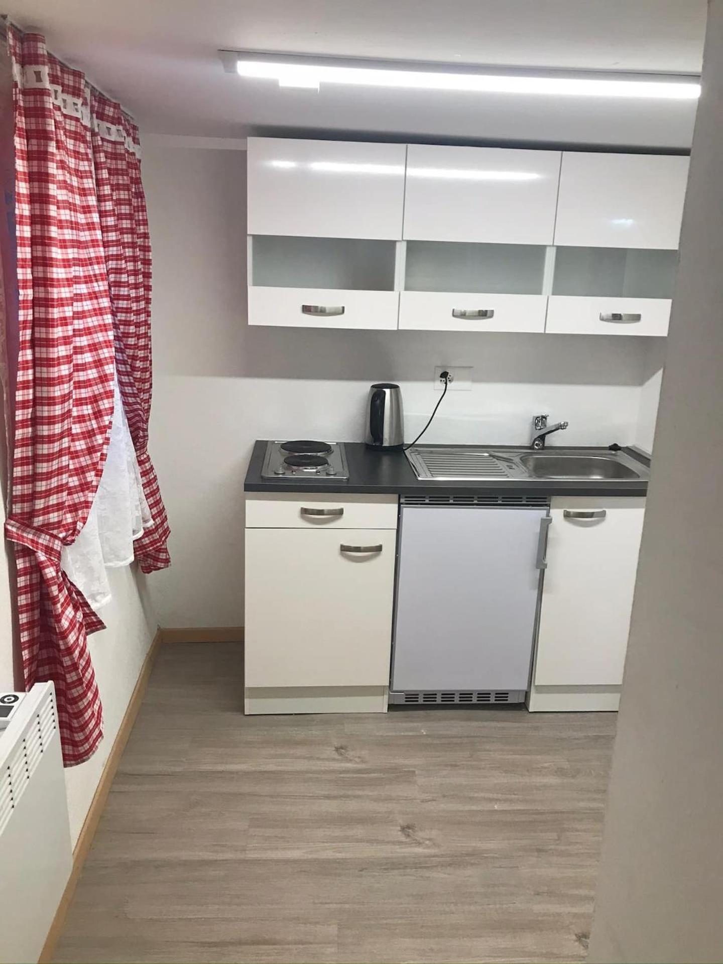 Studio In Alps By Apartments Capricorn グシュタイクヴィラー エクステリア 写真