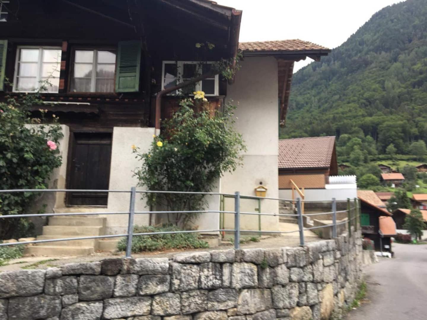Studio In Alps By Apartments Capricorn グシュタイクヴィラー エクステリア 写真